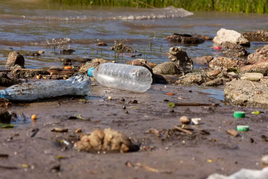 Qual é a diferença entre poluição e contaminação da água​?